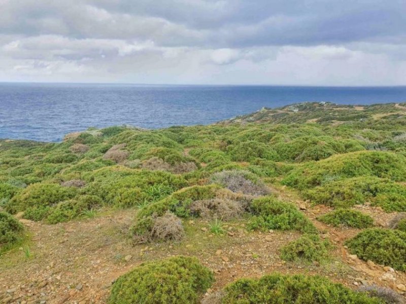 Pelagia Kreta, Ag. Pelagia, Grundstück 44.000m² mit unverbaubarem Meerblick Grundstück kaufen